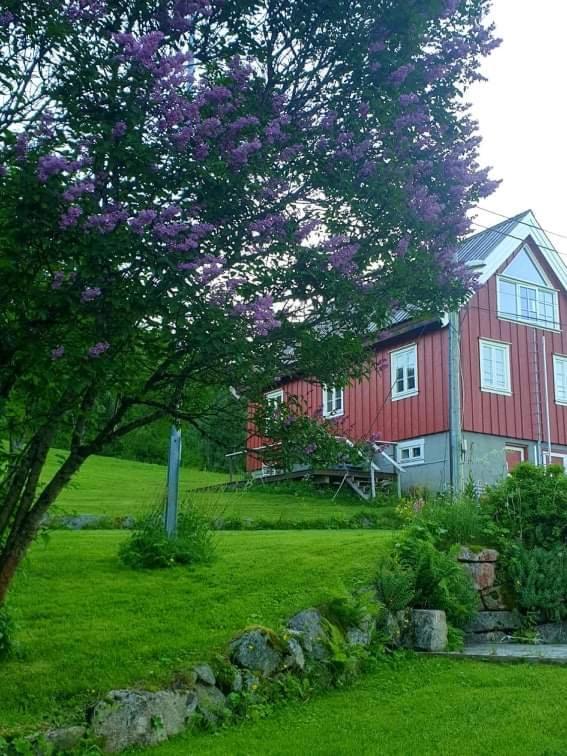 Kraemarvika Lodge 特罗姆瑟 外观 照片